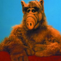 TESTMACARONI (@testmacoroni) 's Twitter Profile