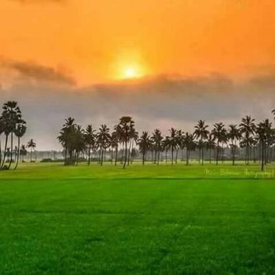 RaviKum19959169's profile picture. 