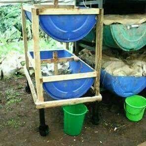 Start your own kitchen garden and grow your own organic vegetables using earthworms. Call us on 071303279