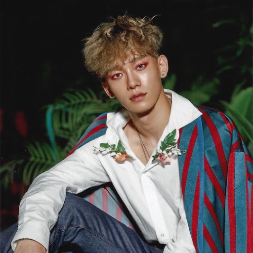 PraiseKinkChen's profile picture. I just wanted a place to be able to follow so other kpop trash and trade my goodies (aka photo cards and Albums) My tumblr is the same name.
