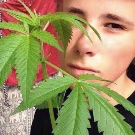 Adrian 19 (HMU in the dm's) / 🅱️ / Marine & Natural History Photography student / father of two carrots / vegan pappa