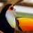 Ben_jamin_Casey's profile image