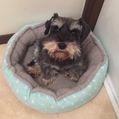 Bradbruckerz's profile picture. mornin'