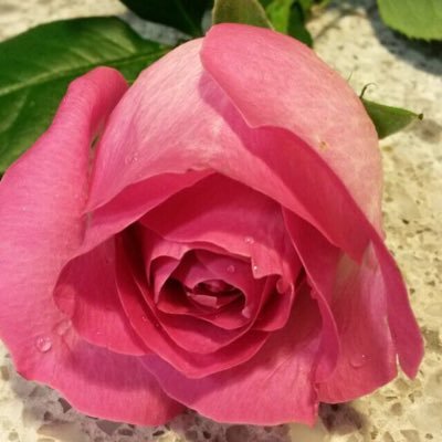 eolivier22's profile picture. 