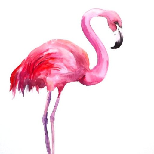 Flamingo Phone Cases