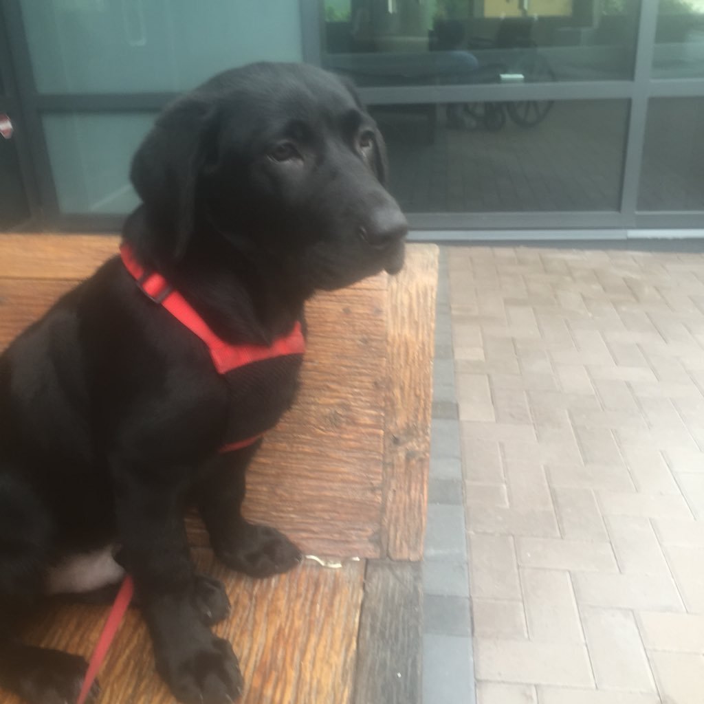 michael_tallen's profile picture. Fabulously Successful Entrepreneur No Language but English SAD! Business & Finance Fun History Nonprofits Politics Science Technology News Sex when can get it