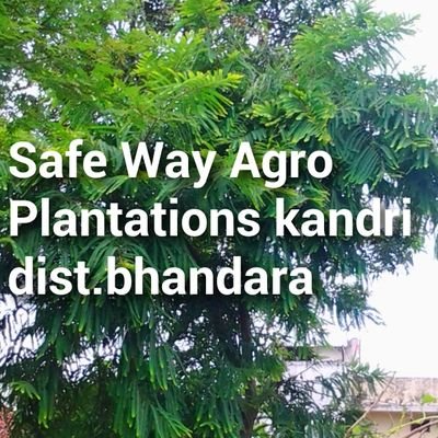 safe way agro plantations ramtek, kandri, bhandara   [maharastra]