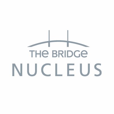 Bridge_Nucleus Profile Picture