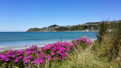 binglinzhao's profile picture. 喜欢自由自在的生活。