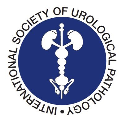 International Society of Urological Pathology