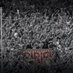 SFC Fans (@miguelrey75) Twitter profile photo SFC Fans (@miguelrey75) Twitter profile photo