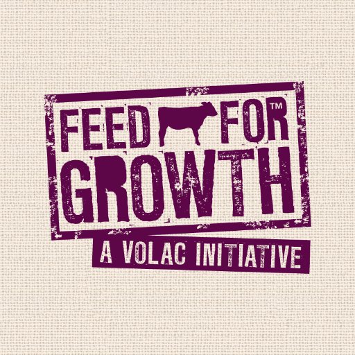 Feed for Growth can help you unlock your dairy cows full potential. Volac initiative for dairy farmers offering latest research & expert advice #FeedForGrowth
