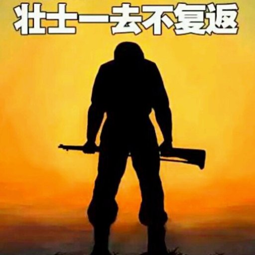 MobeiLonelyWolf's profile picture. 忠于祖国 忠于人民