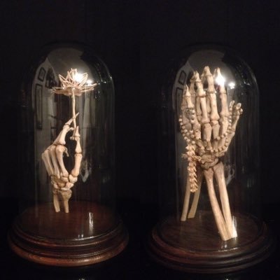 Specialised macabre home decor & ethically sourced oddities. Human bone articulation and the macabre.