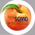 SC Dietitians (@eatrightsc) Twitter profile photo SC Dietitians (@eatrightsc) Twitter profile photo