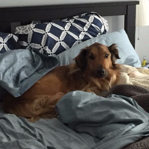 ctanderson8885's profile picture. COO @furtherinsights Founder @newsuptweets Bassist @greasyhandsband music lover and amateur dog trainer