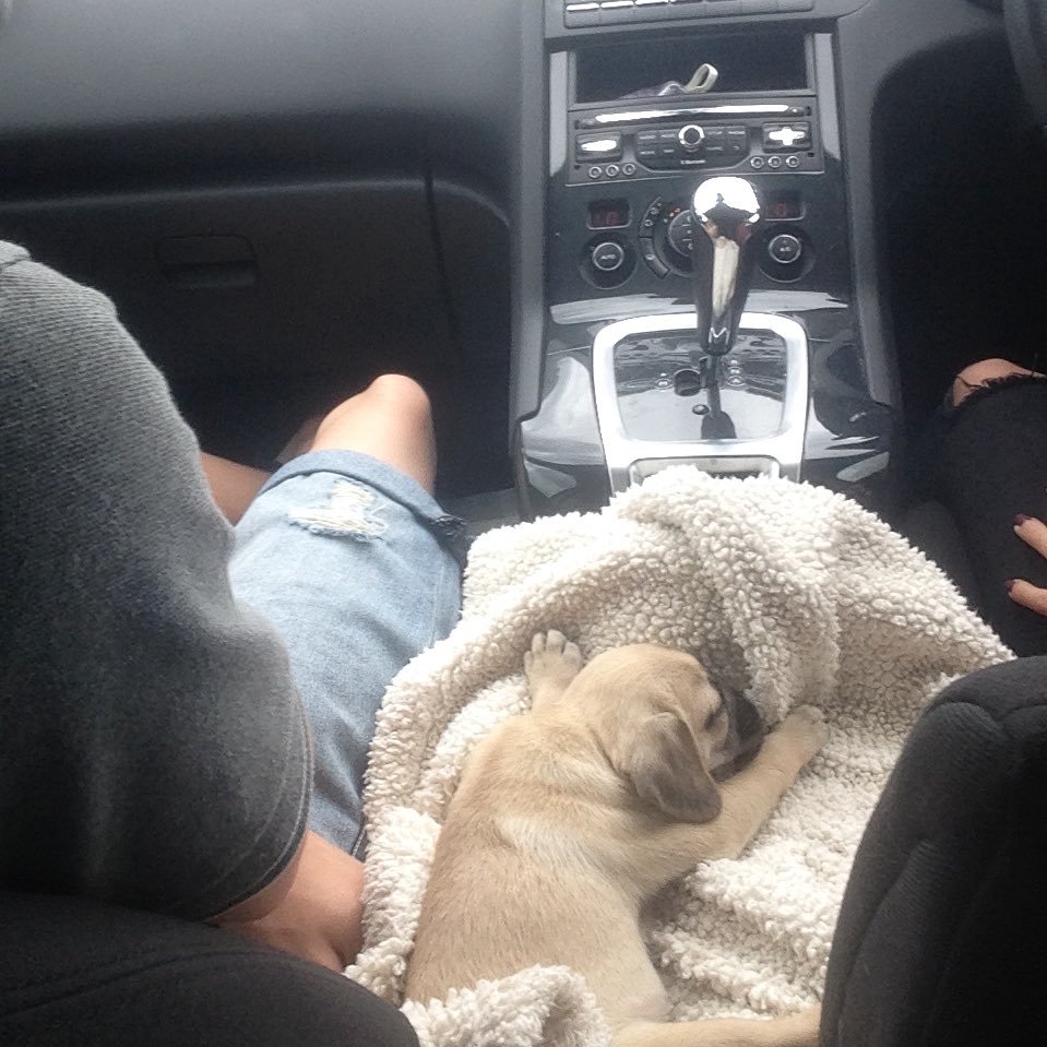 TJgaming1801's profile picture. Z