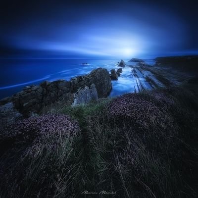 Forestal, paisajista, springsteeniano, fotógrafo. Amante de la naturaleza, la cerveza y Cantabria