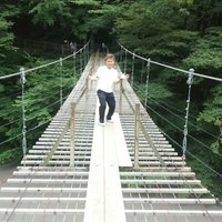 ゴリポヨ (@tsundagorira) Twitter profile photo