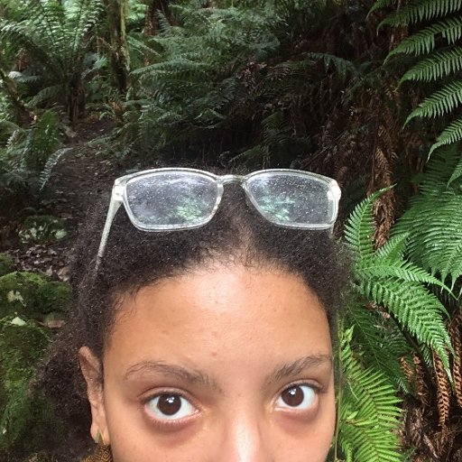 Graduate student passionate about sharing science and research w the people who fund it | @theAGU Voices for Science advocate | Switzer fellow #BlackandSTEAM