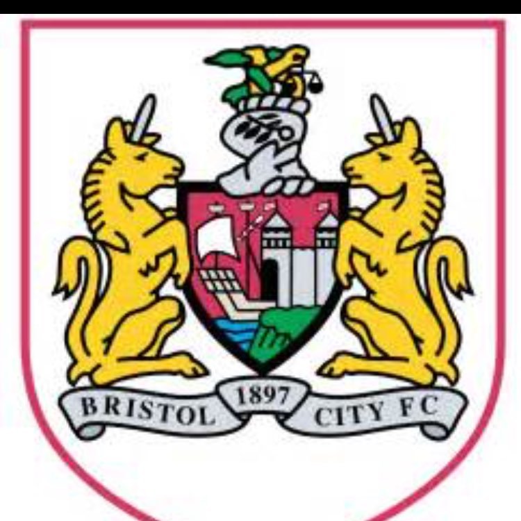 all about family, bristol city fan, current first team manager @cutters friday fc