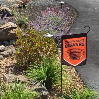 MarshTrimp's profile picture. 