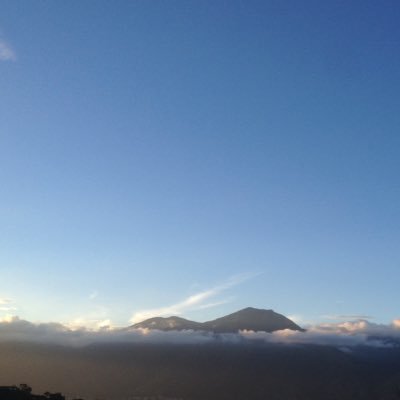 LudwigParedes's profile picture. Musico