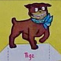 Tige Howie (@tigehowie) 's Twitter Profile