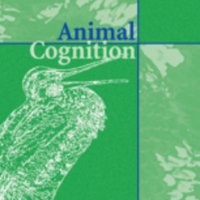 Animal Cognition(@SpringerANCO) 's Twitter Profile Photo