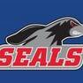 Seals Football 24/7. Your #1 source for Selinsgrove Football. News, directions, opponent scouting reports, scores. #goSeals.