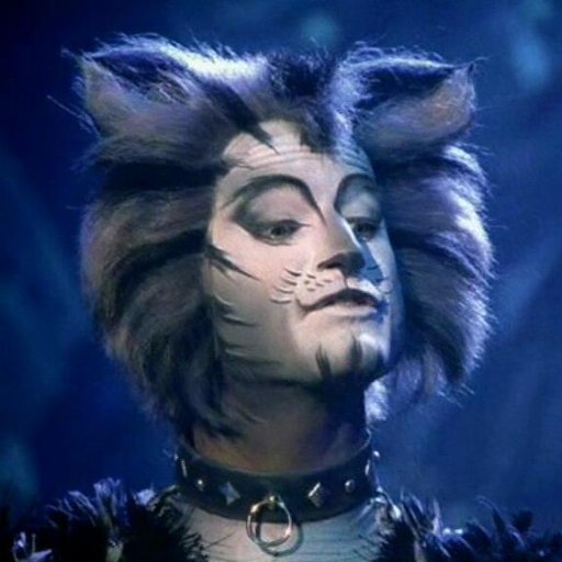 Protector and storyteller of the Jellicle Tribe. |Single/Multiship| |Cats The Musical RPG|