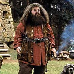 Rubeus Hagird, a half-giant wizard, son of Mr Hagrid and the giantess Fridwulfa. Gatekeeper of Hogwarts. and friend to Harry Potter @TheHeroicWizard