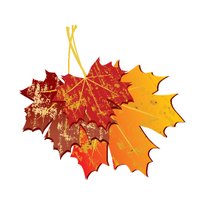 FallFestDP (@fallfestdp) 's Twitter Profile
