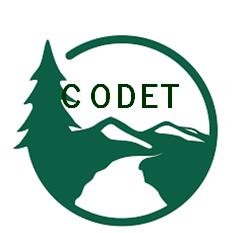 Youths & women must participate in economic and political debates in order to create policies & institutions which identify with them codetmutare@gmail.com
