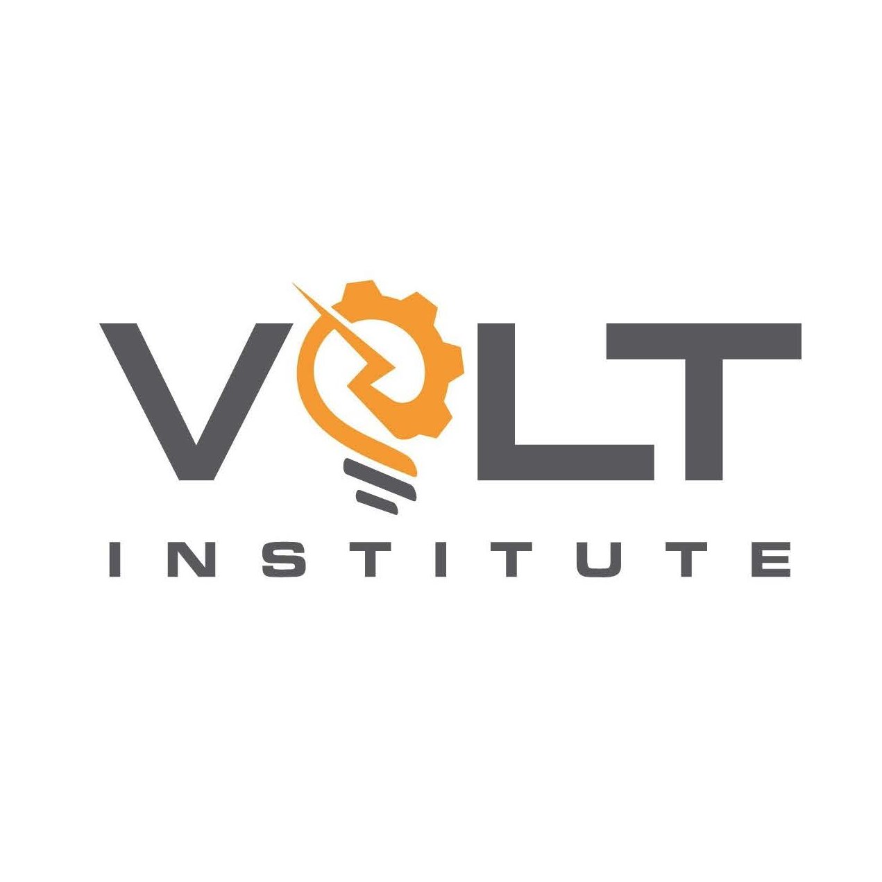 VOLTInstitute Profile Picture