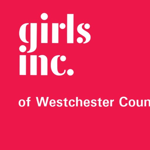 A leadership development organization for girls - provides year long mentoring, confidence building, academic enrichment, STEM, financial lit. & so much more.