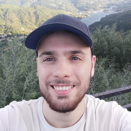 ivo_c_ferro's profile picture. Software Cowboy 🤠