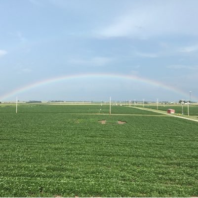 Soyface_IL's profile picture. An innovative facility for growing crops under standard ag conditions in an atmosphere with higher levels of CO2 and O3, elevated temps and altered soil H2O