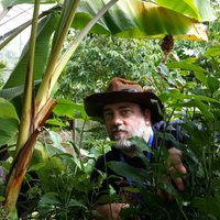 Dr David Martin (@bioinformagic) 's Twitter Profile