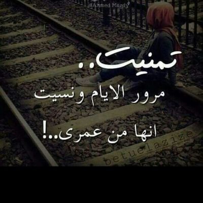 daysago12's profile picture. 