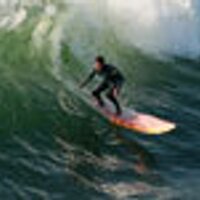 westcoastwayne (@westcoastwayne) 's Twitter Profile