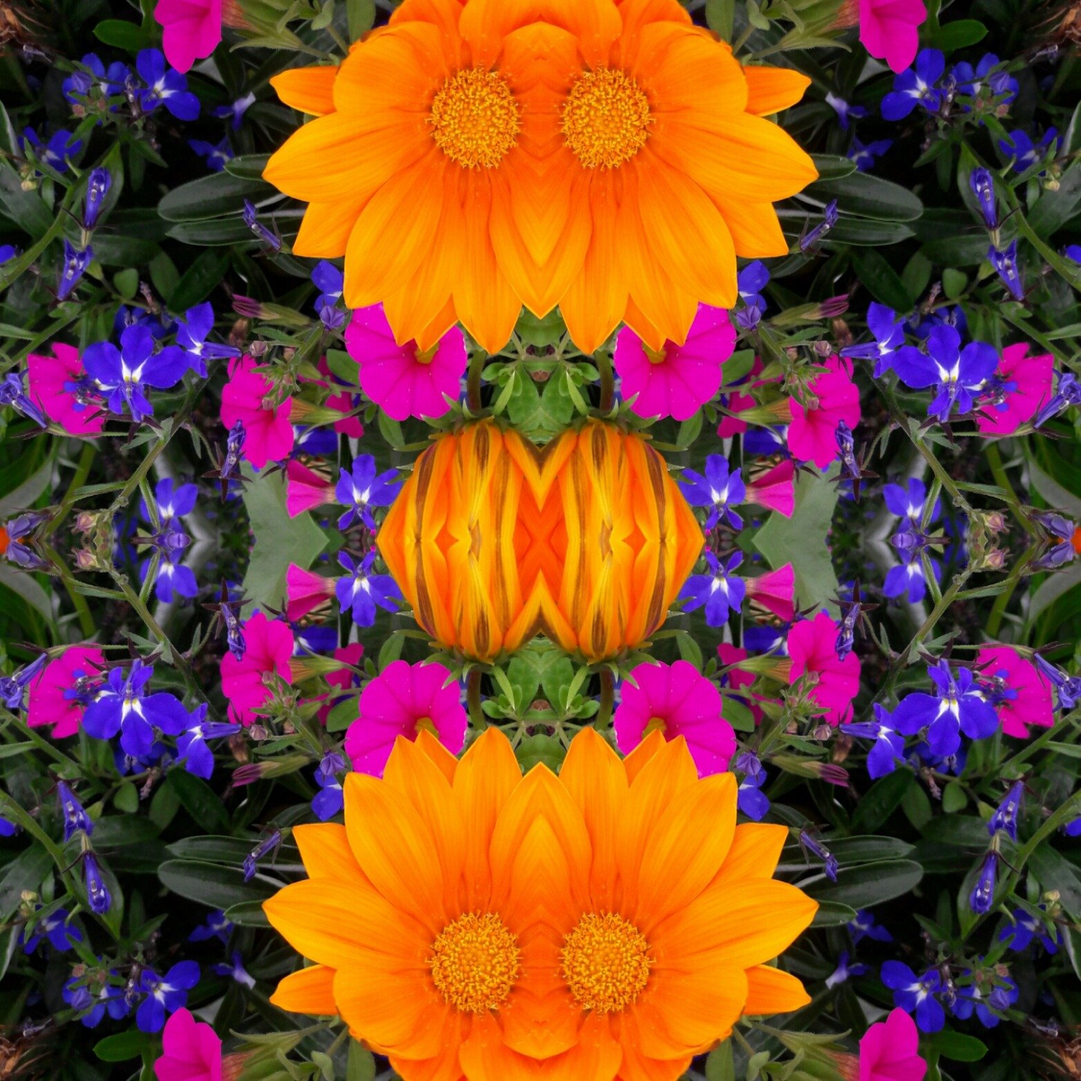 Ferret42's profile picture. 