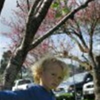 Mac Millings (@macmillings) 's Twitter Profile