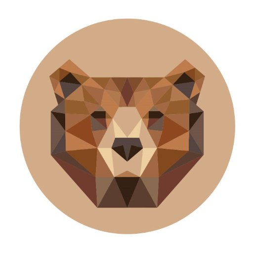 bearid_project's profile picture. We develop noninvasive technologies to identify and monitor 🐻, facilitating their conservation | #Tech4Wildlife | Page run by @MelanieClapham |