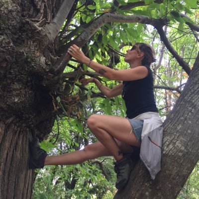 Raquelguio's profile picture. 