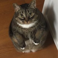 Paula Childers (she/her) (@librarylady78) 's Twitter Profile Photo Paula Childers (she/her) (@librarylady78) 's Twitter Profile Photo