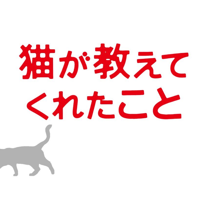 映画『猫が教えてくれたこと』公式アカウント。2017年11月18日よりシネスイッチ銀座、YEBISU GARDEN CINEMA他にて順次公開！トルコ・イスタンブールに住む野良猫と街の人々の心暖まる関係をとらえた、優しさ溢れるドキュメンタリー！