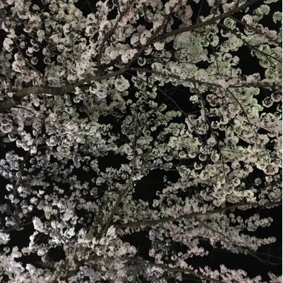 20歳 フューチャーネット 無料枠は終わりました。以前通り$10から始められます(^^) #即断即決 の方お待ちしてます(^^) #ザビアン もやってるので気になれば連絡下さい!