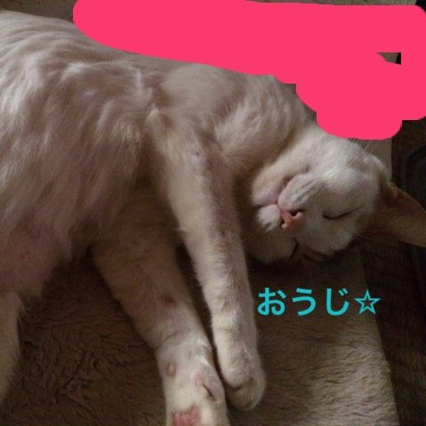 アニメ/ゲーム/映画/猫大好きな人
気軽にフォローしてください
ジュースに最近はまってます
PC欲しい…