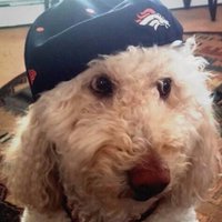 Samwell (@sambarnesii) 's Twitter Profile